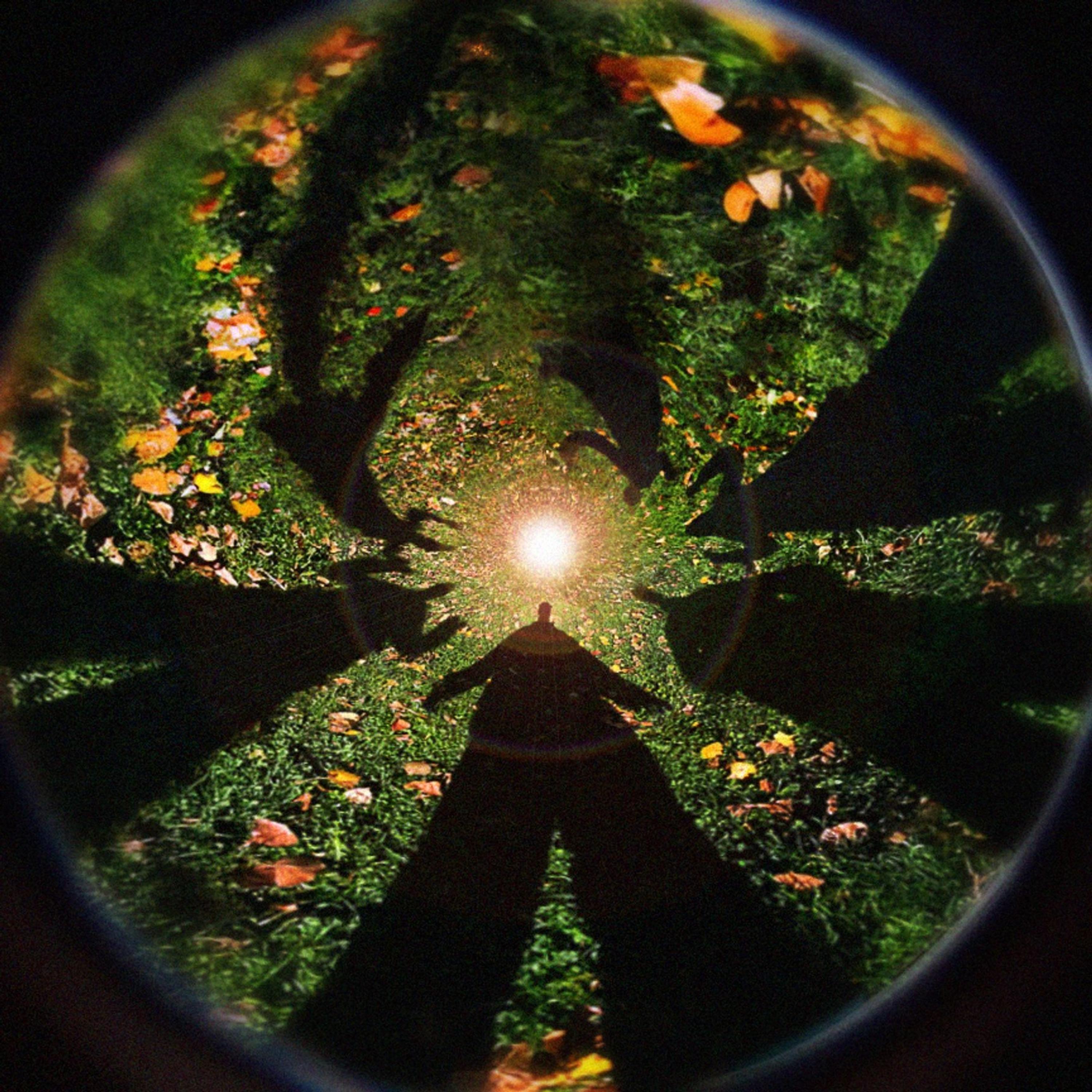 BIRD FLY (feat. Fantasy & Lil Melodiez)