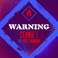 Warning (feat. Roots Manuva)