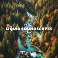 Liquid Soundscapes