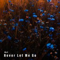 Never Let Me Go