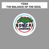 Foxa - The Balance Of The Soul (Original Mix)