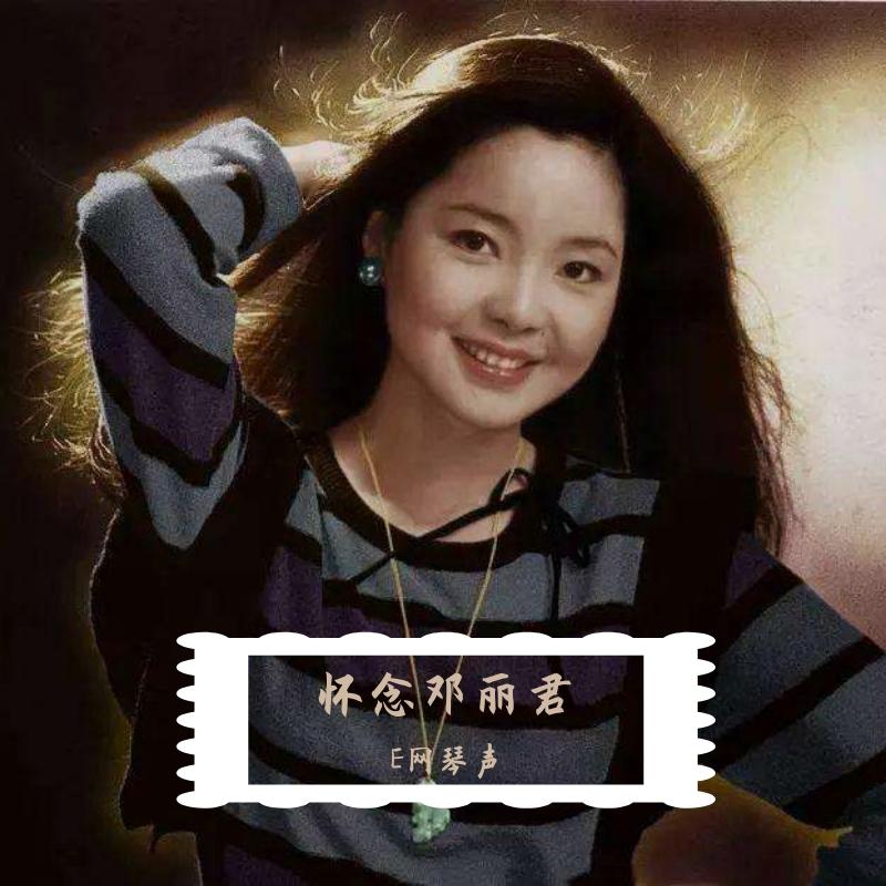 邓丽君-空港-情人的关怀(修复前奏)（E网琴声 remix） - E网琴声封面