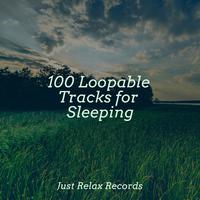 100 Loopable Tracks for Sleeping