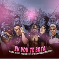 Eu Vou Te Bota (feat. Mc Romântico & Mc Branquinha) (Brega Funk)