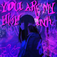 YOU ARE MY HIGH FUNK