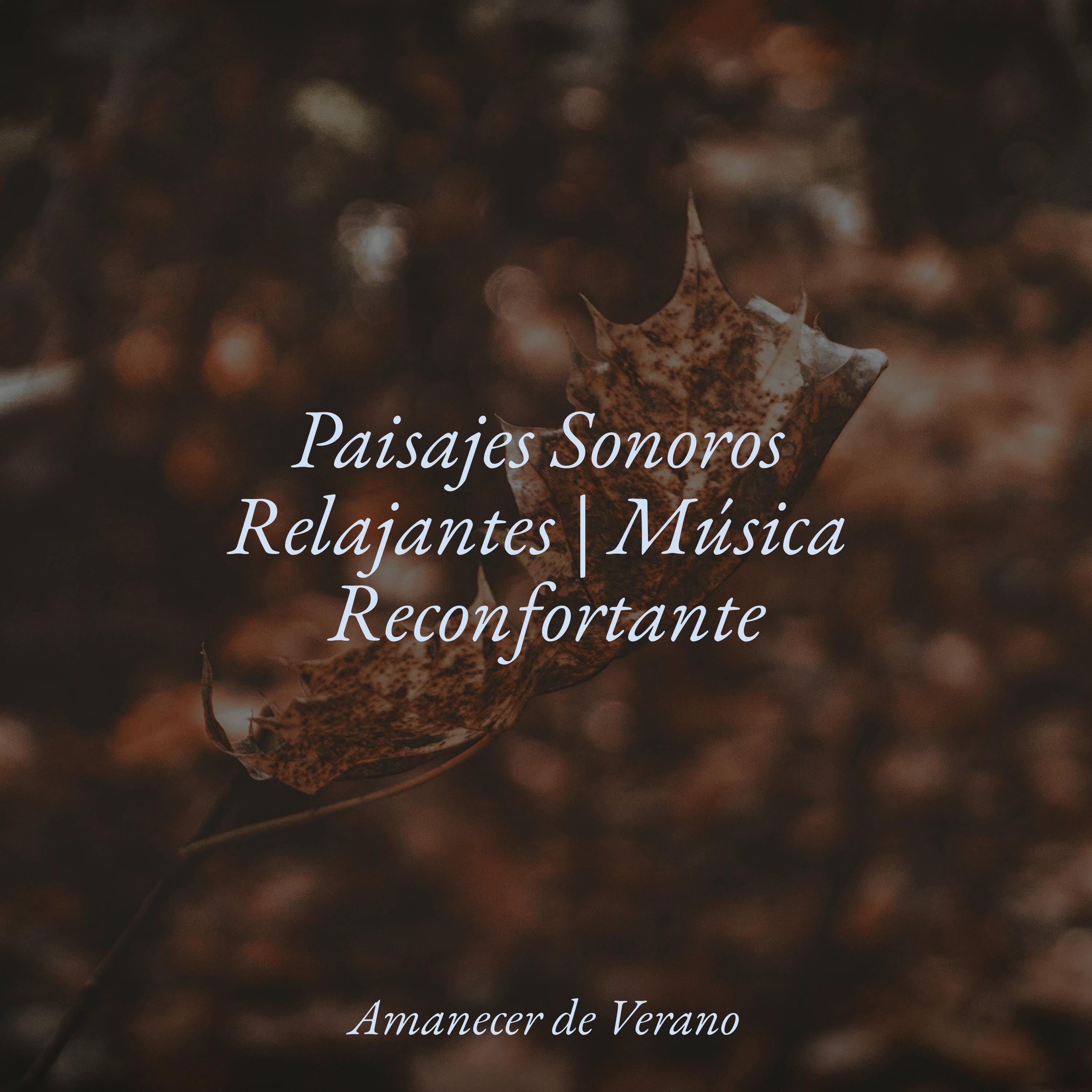 Abrazo Enigmático del Océano