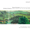 Nina Karmon - Violin Sonata in E-Flat Major, Op. 18, TrV 151:I. Allegro ma non troppo