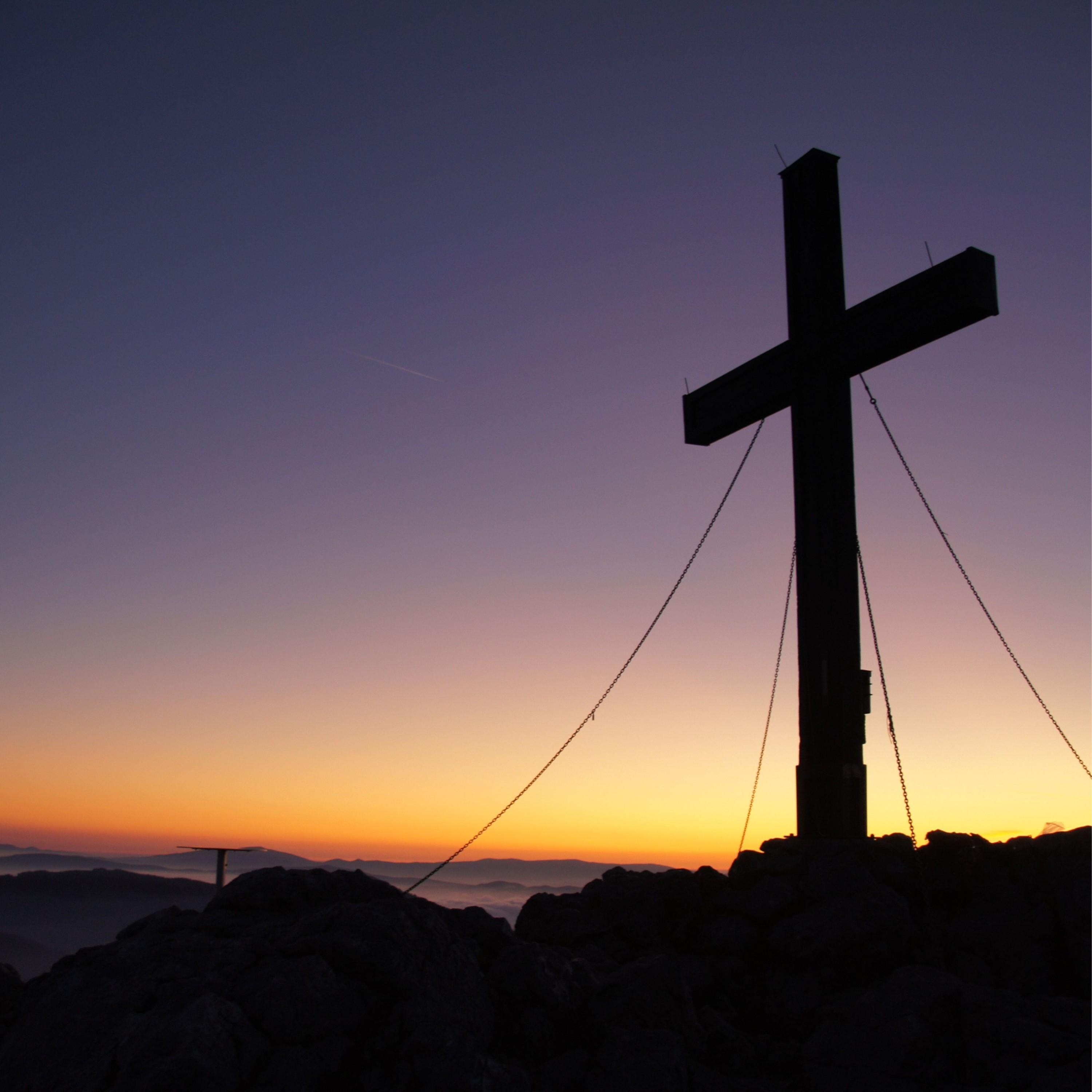 Morning Dew Beautiful Road 专辑 网易云音乐