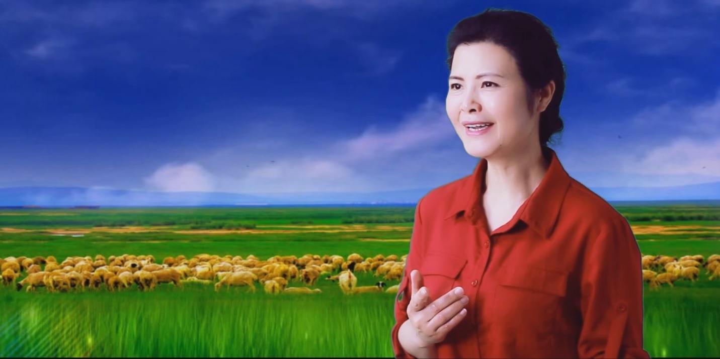 陪你一起看草原封面