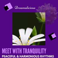 Meet With Tranquility - Peaceful & Harmonious Rhythms