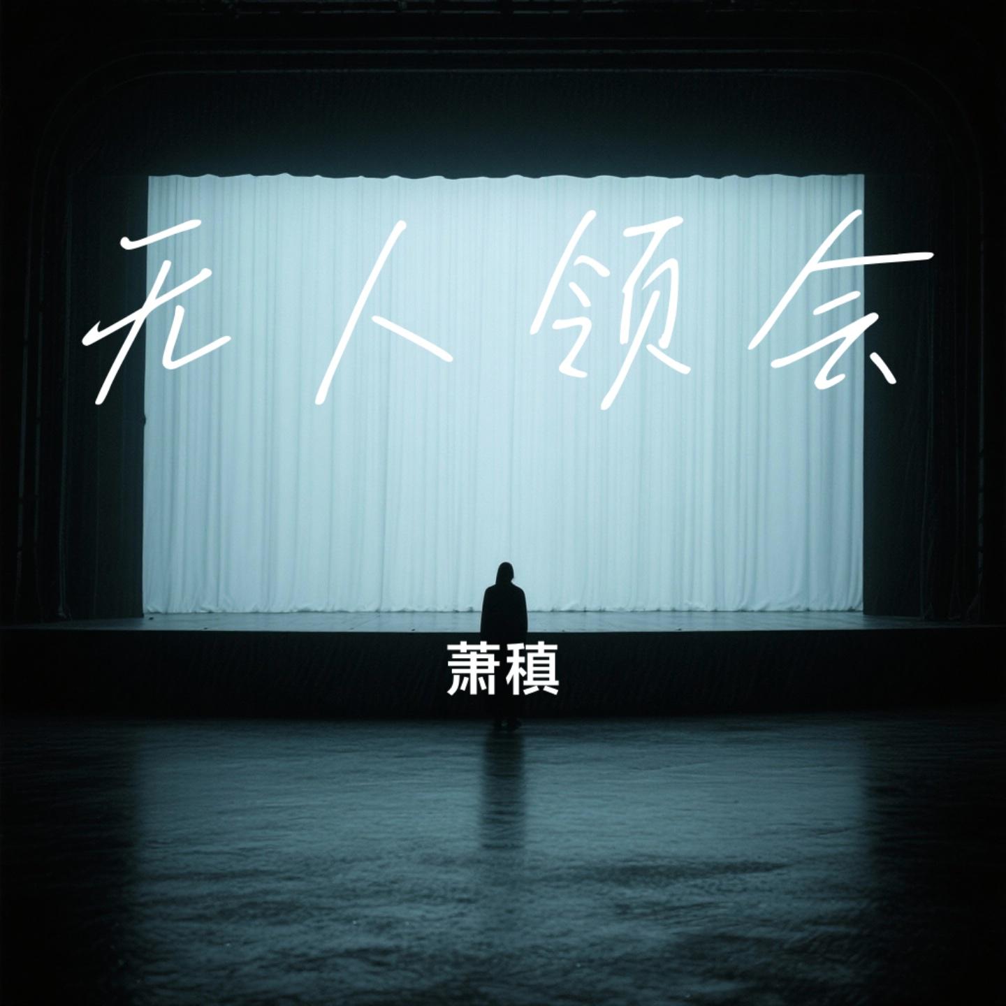 无人领会封面