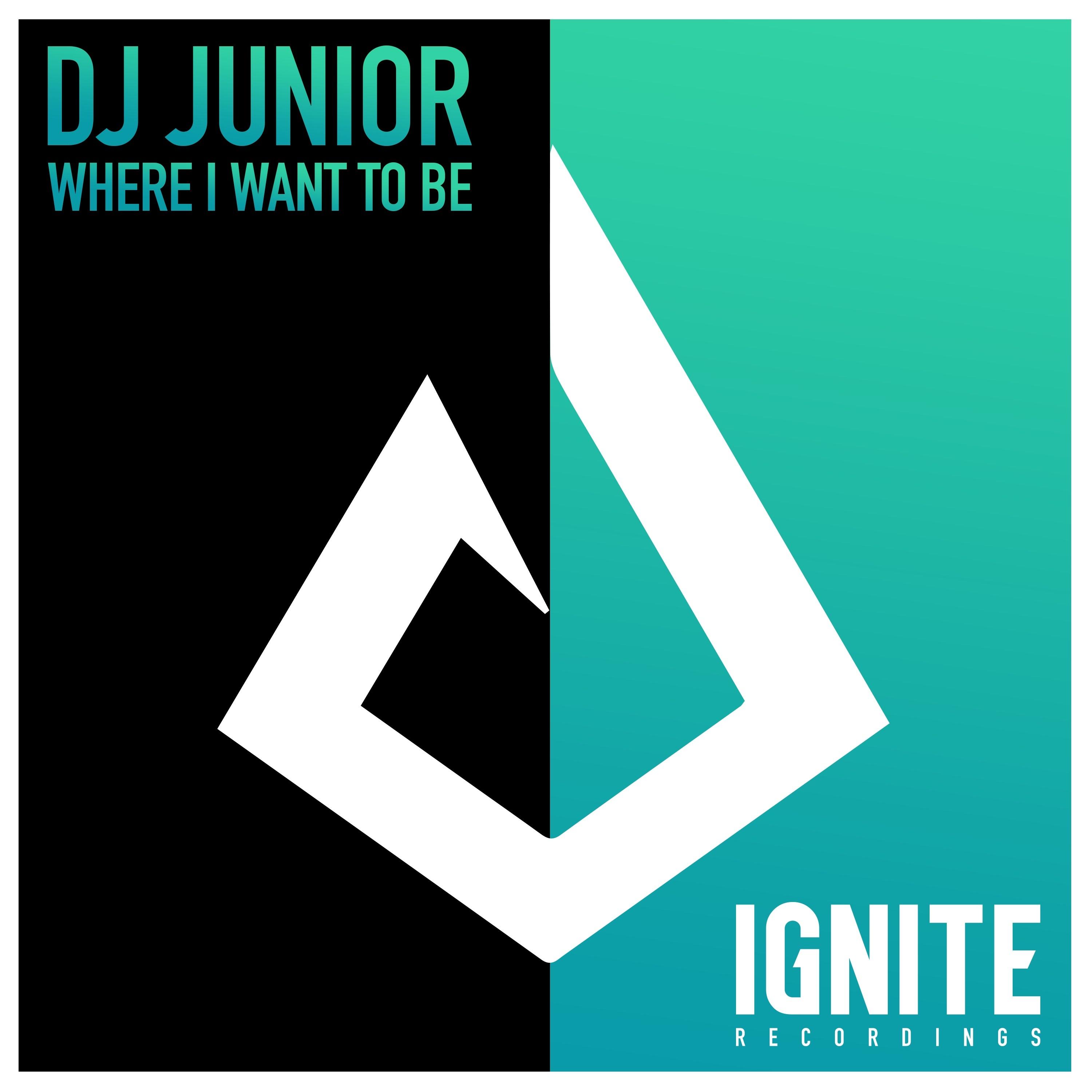 Where I Want To Be_DJ Junior_Where I Want To Be | 在线播放_Where I Want To Be歌词_Where I Want To Be下载 | 网易云音乐