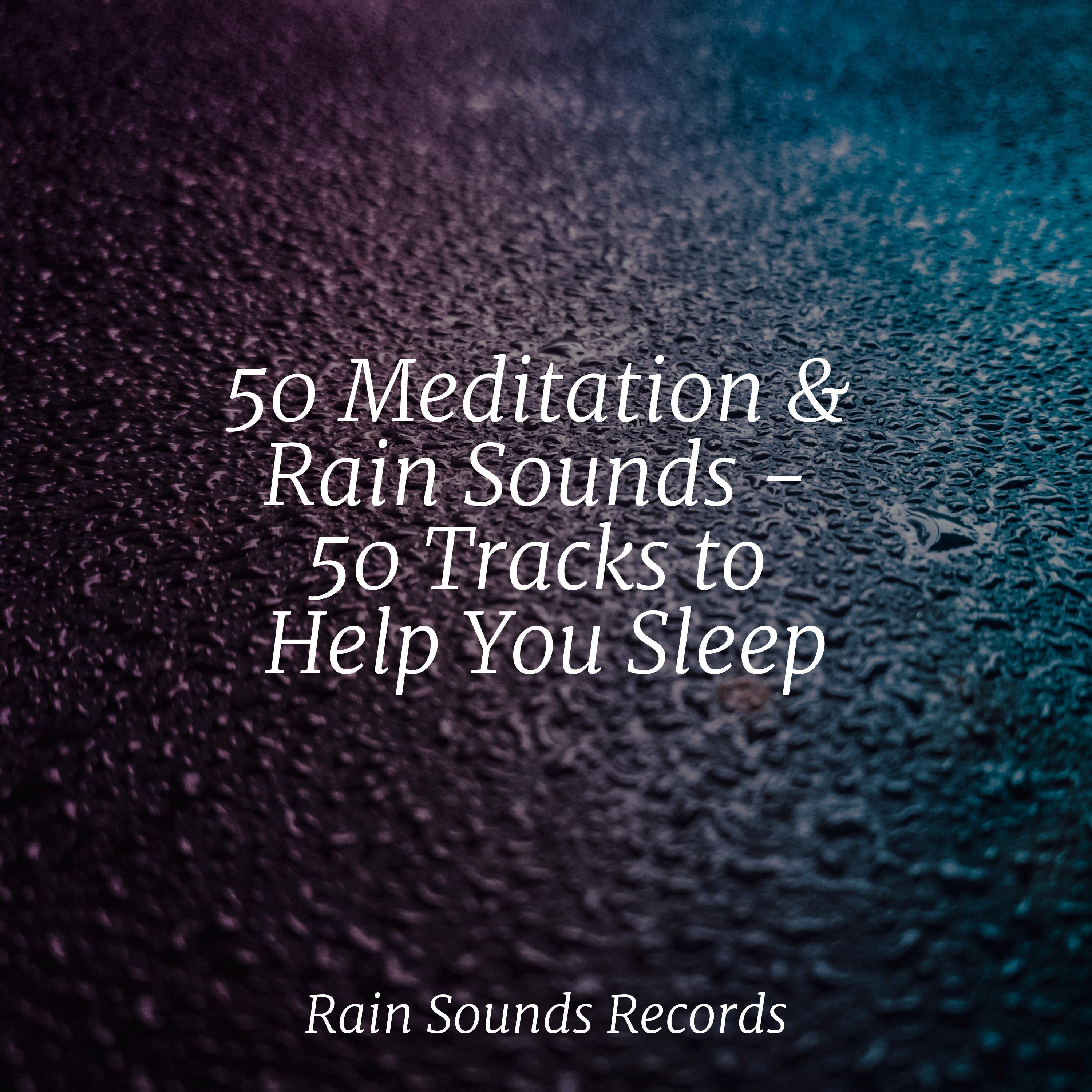 50 Meditation & Rain Sounds - 50 Tracks to Help You Sleep - Relaxing ...