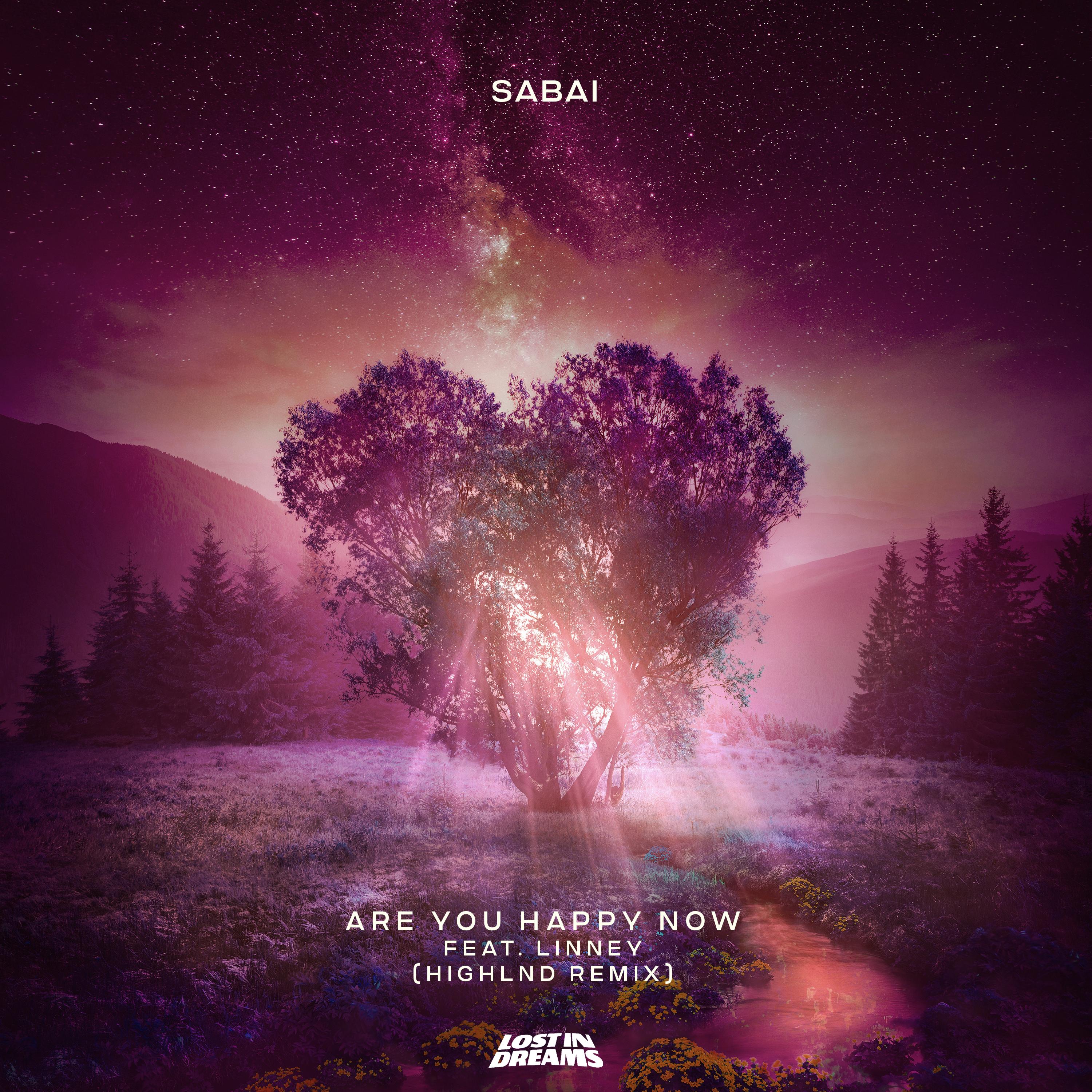 Are You Happy Now (feat. Linney) (Highlnd Remix)