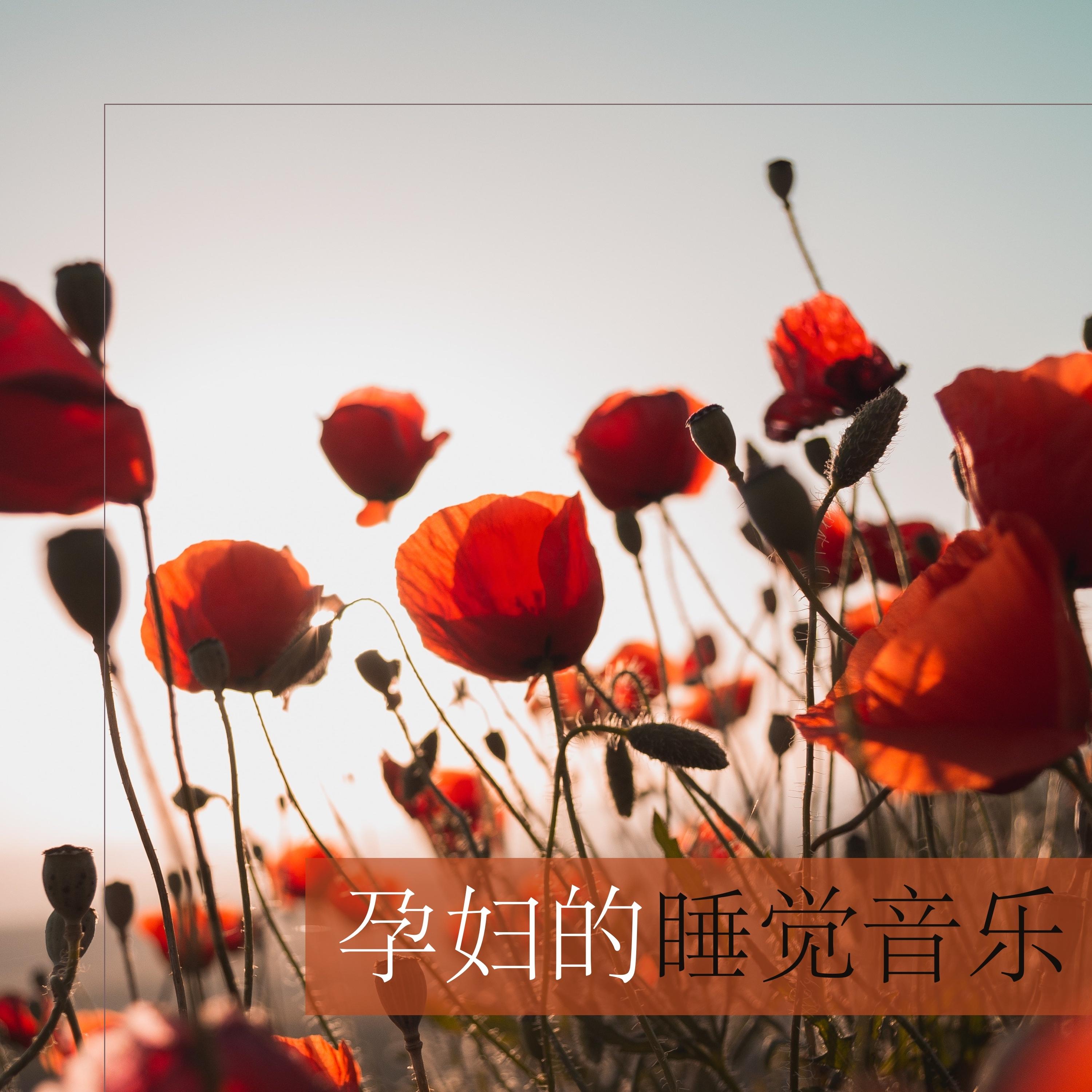 我愛你 - 胎教音樂封面