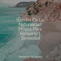 Sonidos De La Naturaleza | Música Para Relajarse | Serenidad