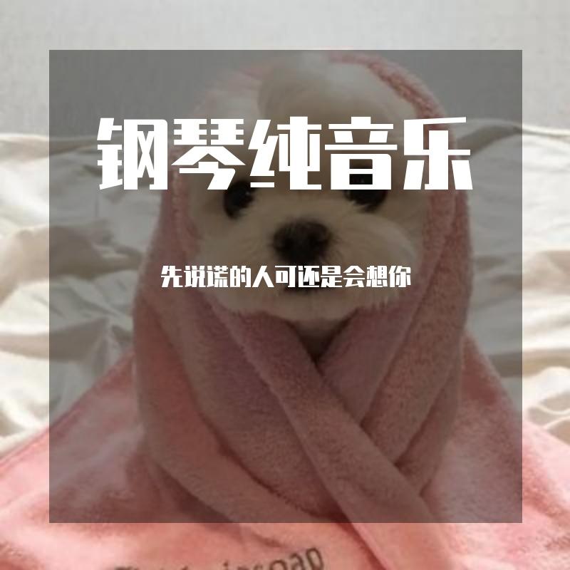 夜的钢琴曲五_封面