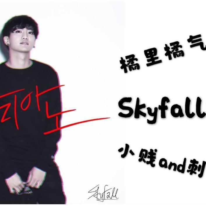 Skyfall封面