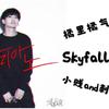 嘎小贱 - Skyfall