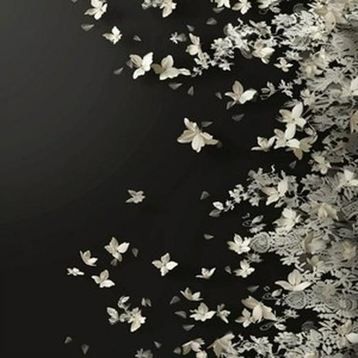 Nobody (17秒片段)