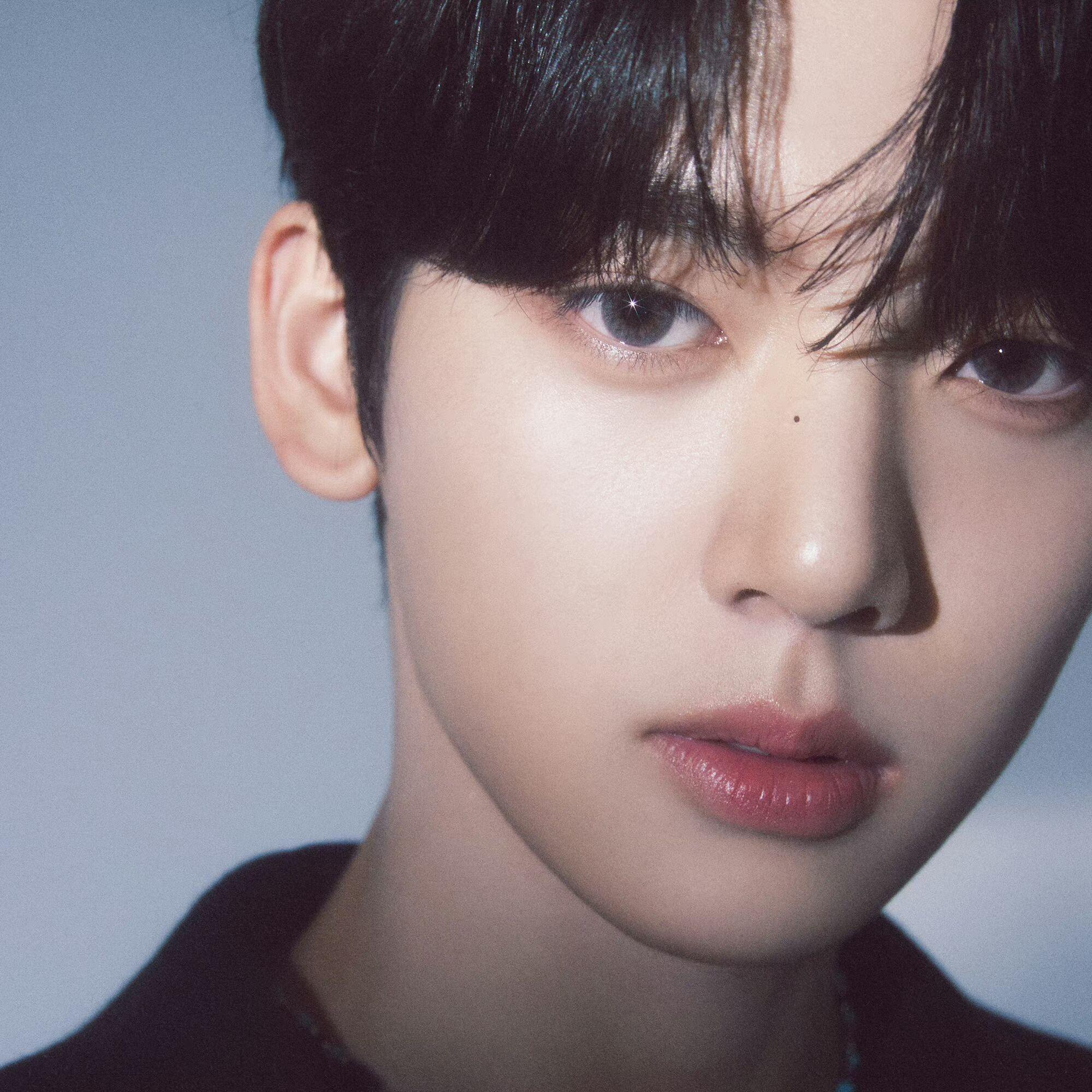 遇见你的时候所有星星都落到我头上