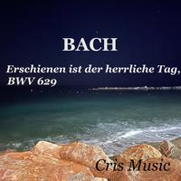 Bach: Das Orgel-Büchlein, BWV 599-644: Easter: 31. Erschienen ist der herrliche Tag, BWV 629