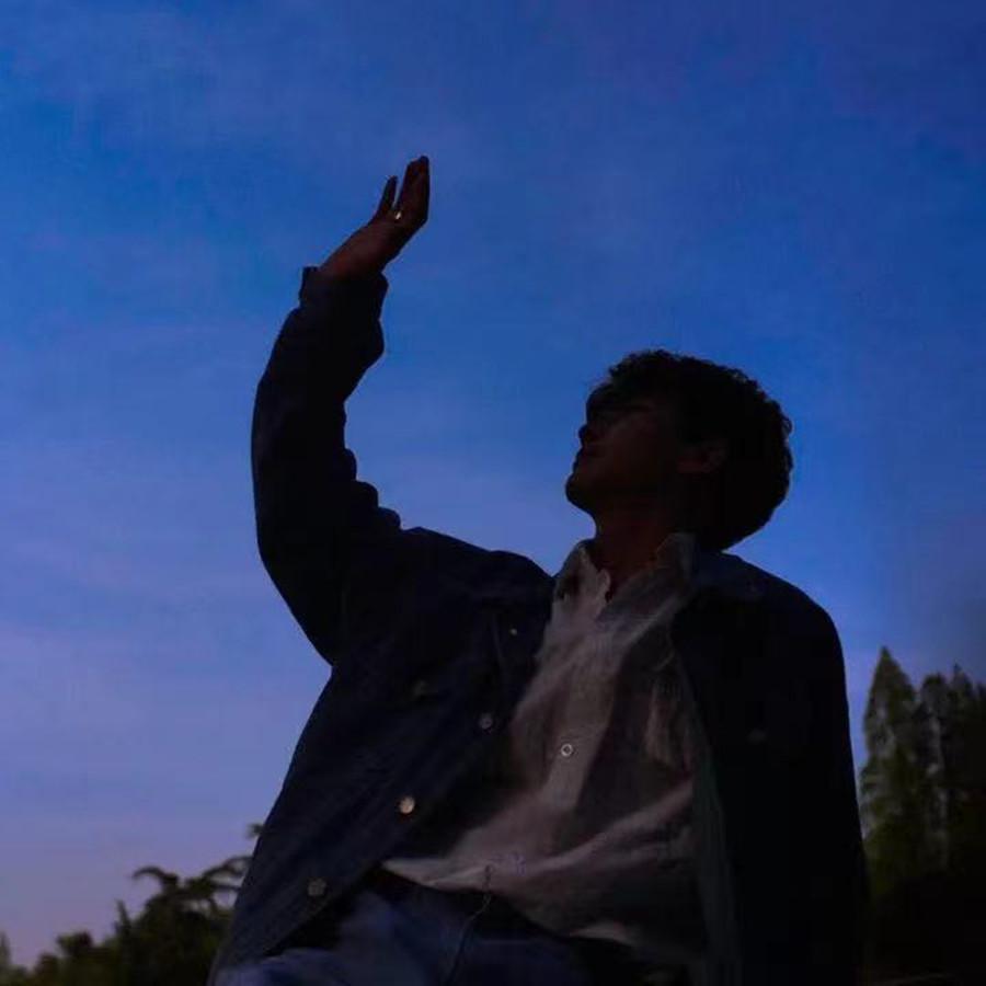 Felix Palmqvist-falling For you抖音版（大大怪叔叔 remix）