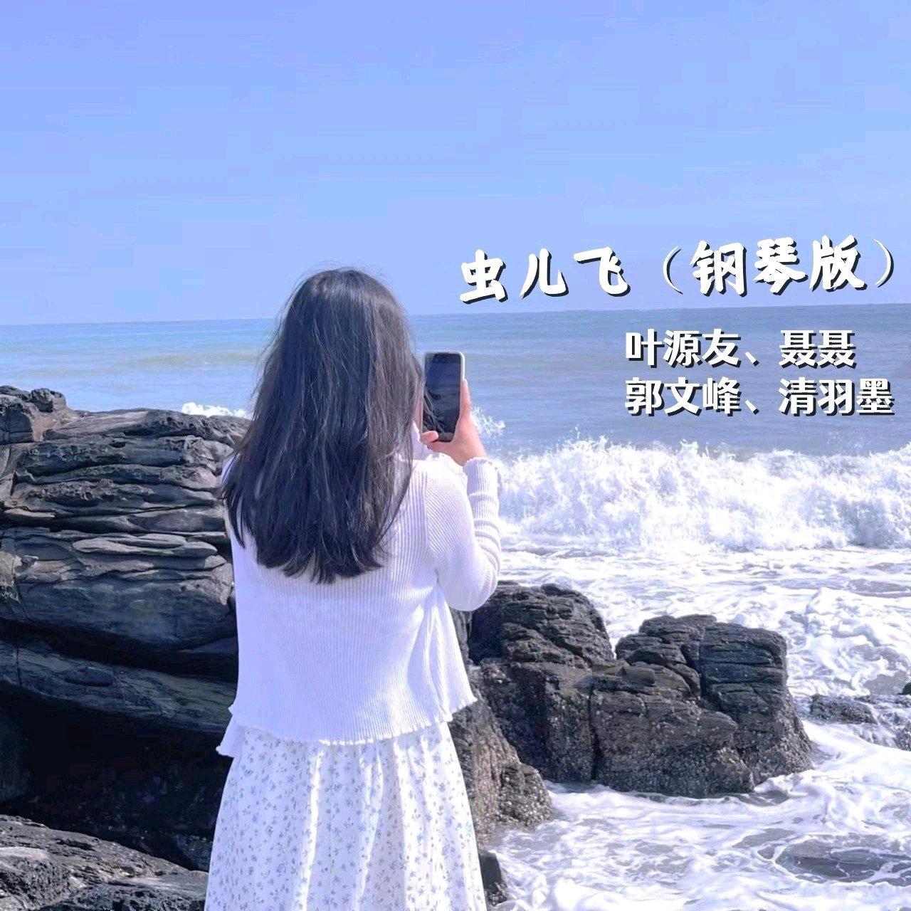 虫儿飞 (摇滚钢琴曲)封面