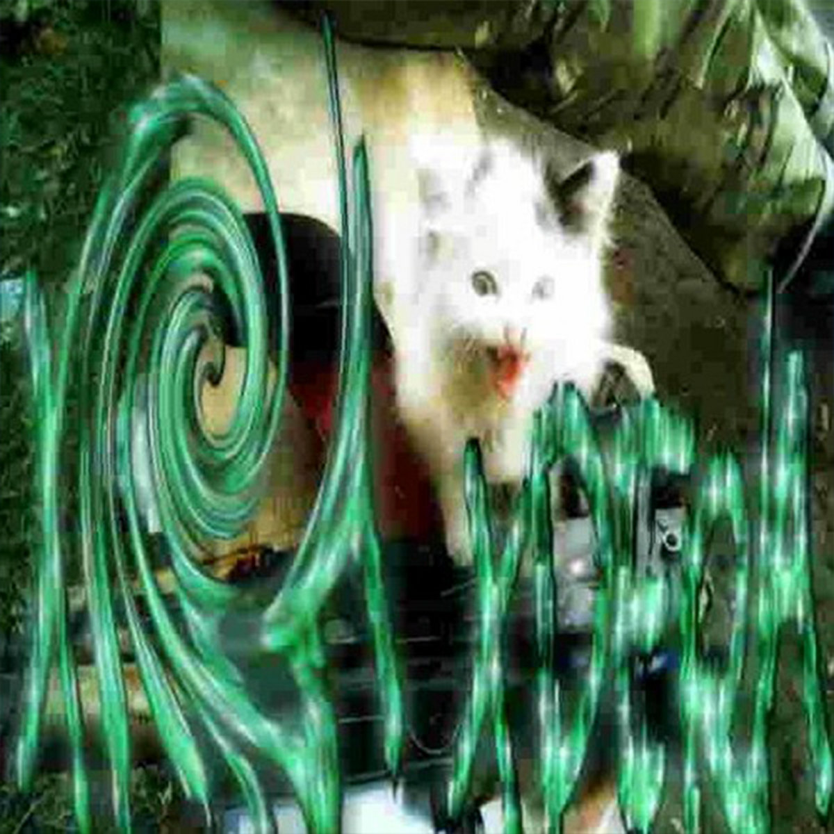 猫害怕猫害怕请宠物他！(> - .̸̛̻̓̒̿͑͊̿́̑̿̈͆̀̀̚<) 天使派我來。天使愛我。天使愛貓。