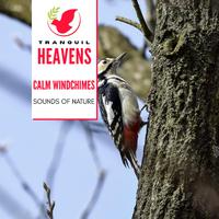 Calm Windchimes - Sounds of Nature