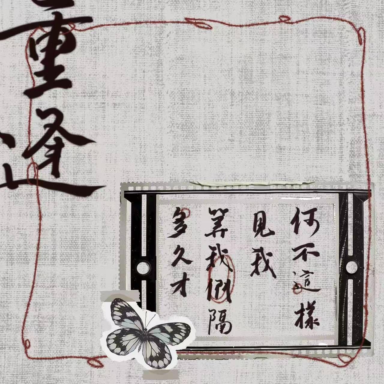 重逢封面