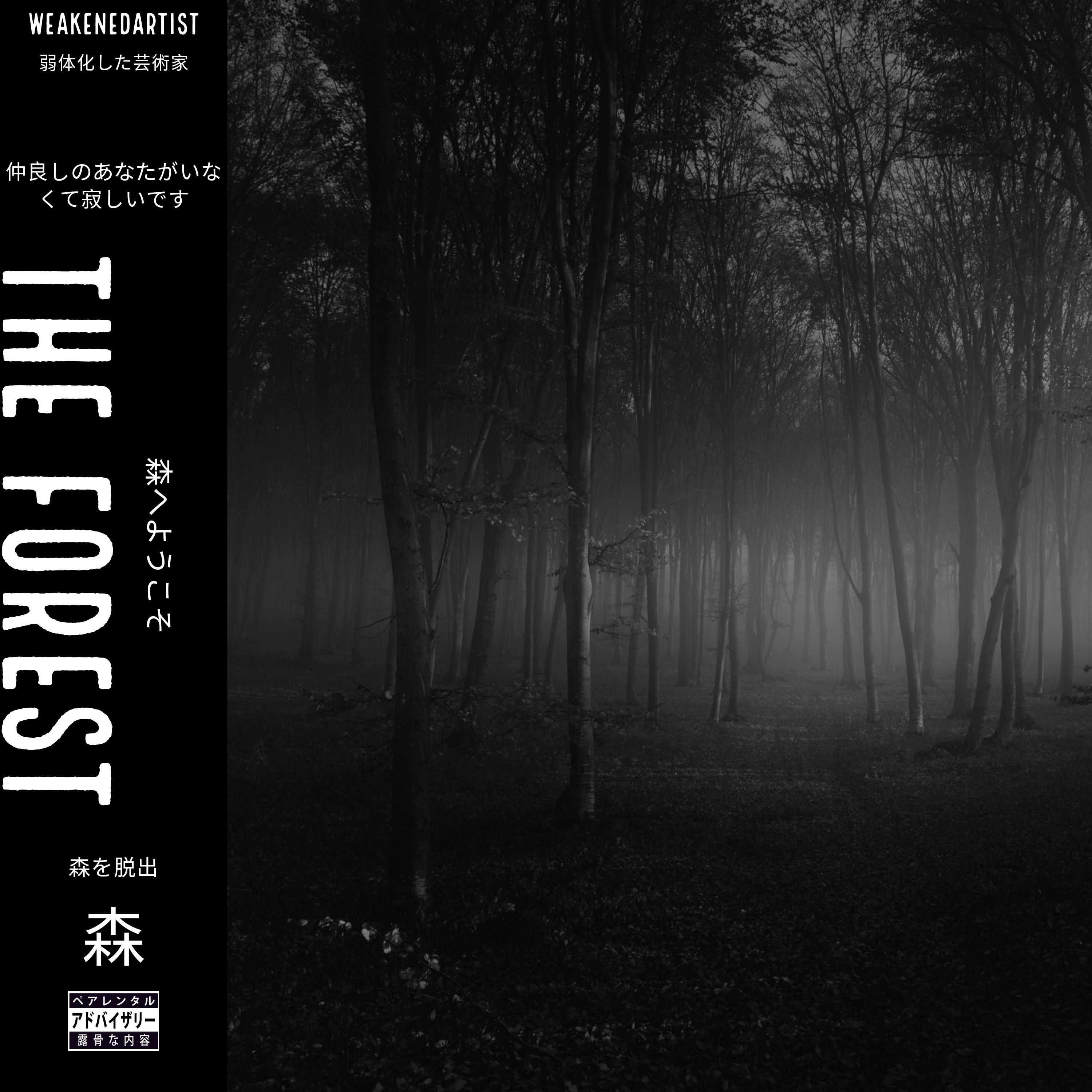 nintendo entertainment system