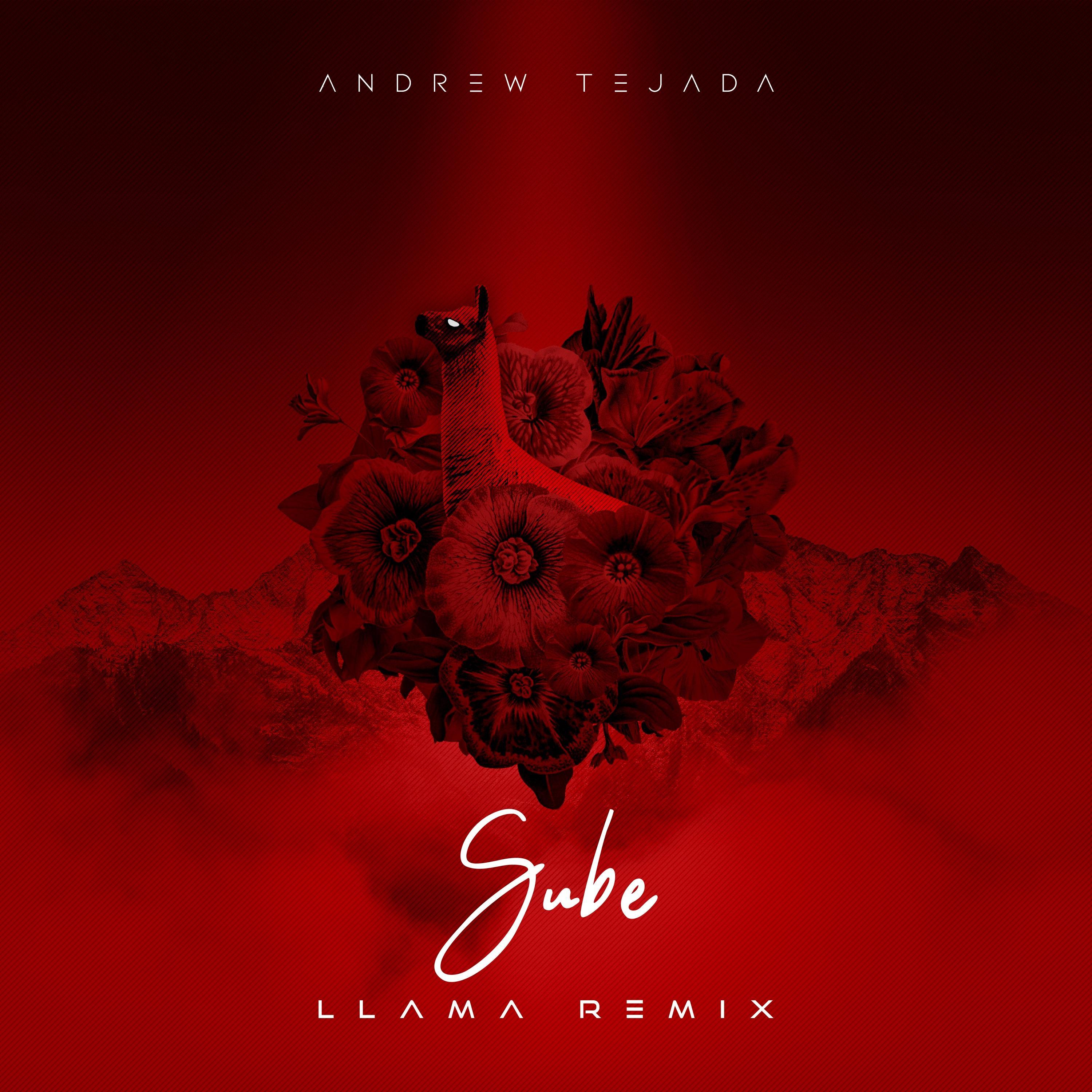 Sube (Llama Remix)