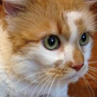 moony资料,moony最新歌曲,moonyMV视频,moony音乐专辑,moony好听的歌