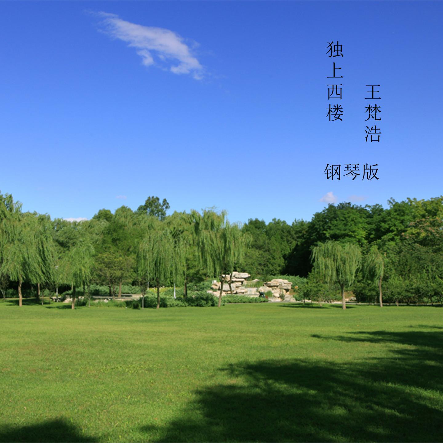 有谁知我此时情 (钢琴版)封面
