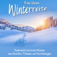 Eine kleine Winterreise