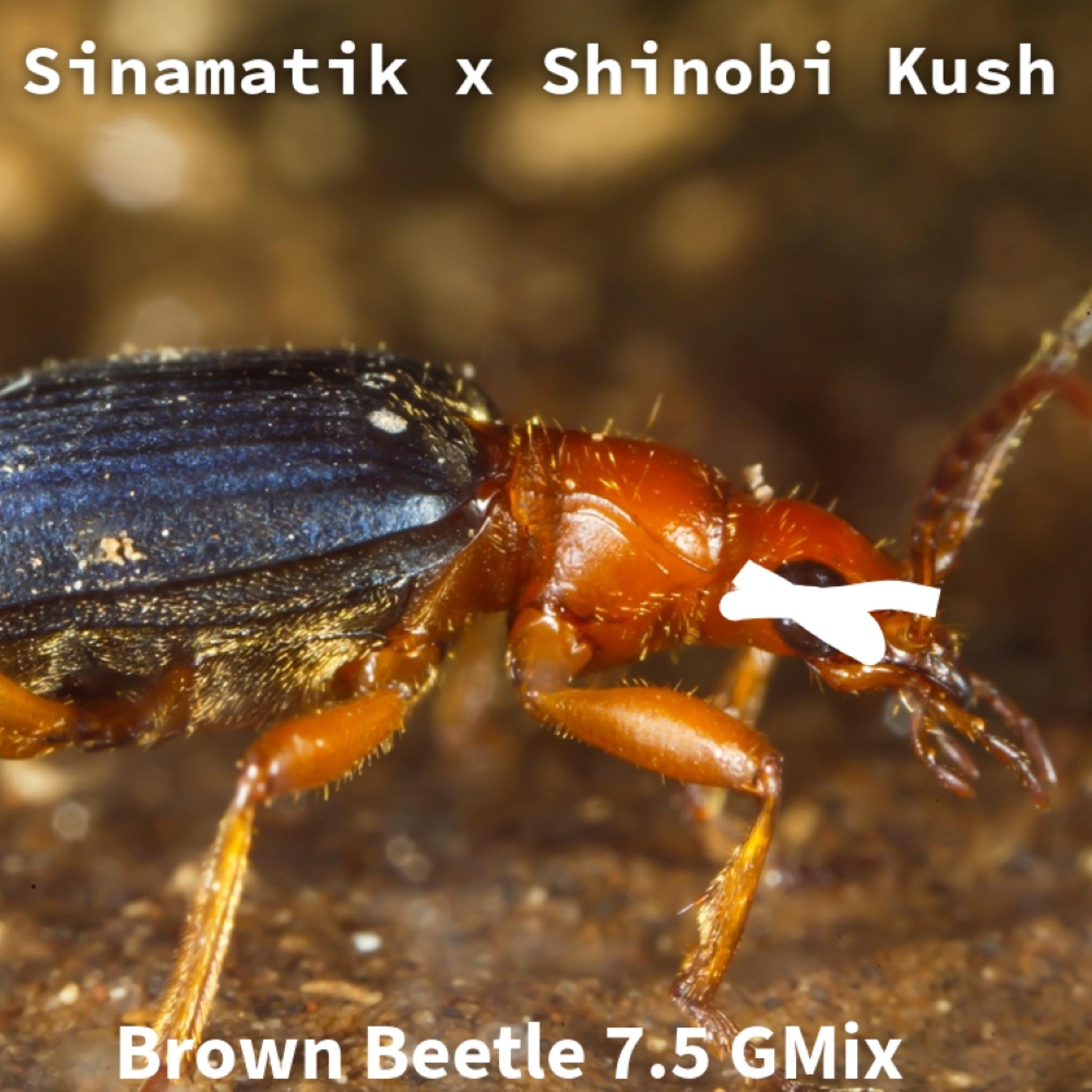 Brown Beetle 7.5 G-Mix (feat. Shinobi Kush)