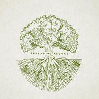 the ROOTS CORPORAL