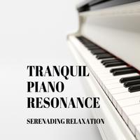 Tranquil Piano Resonance: Serenading Relaxation