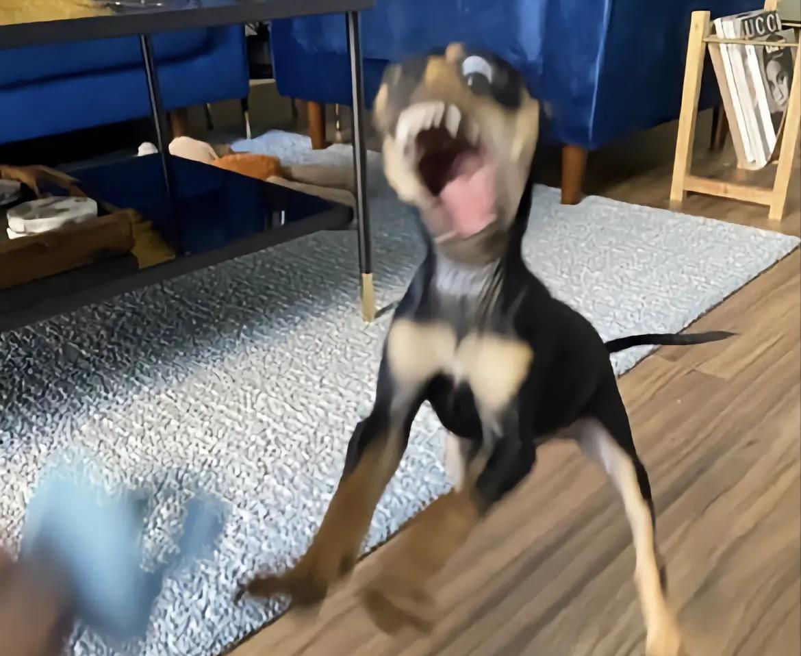 郑少聪Scong