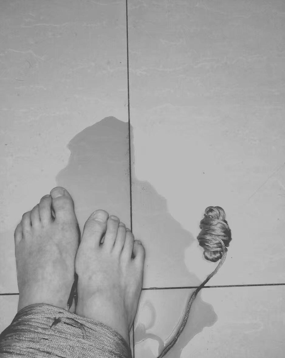 鸡鸣狗盗封面