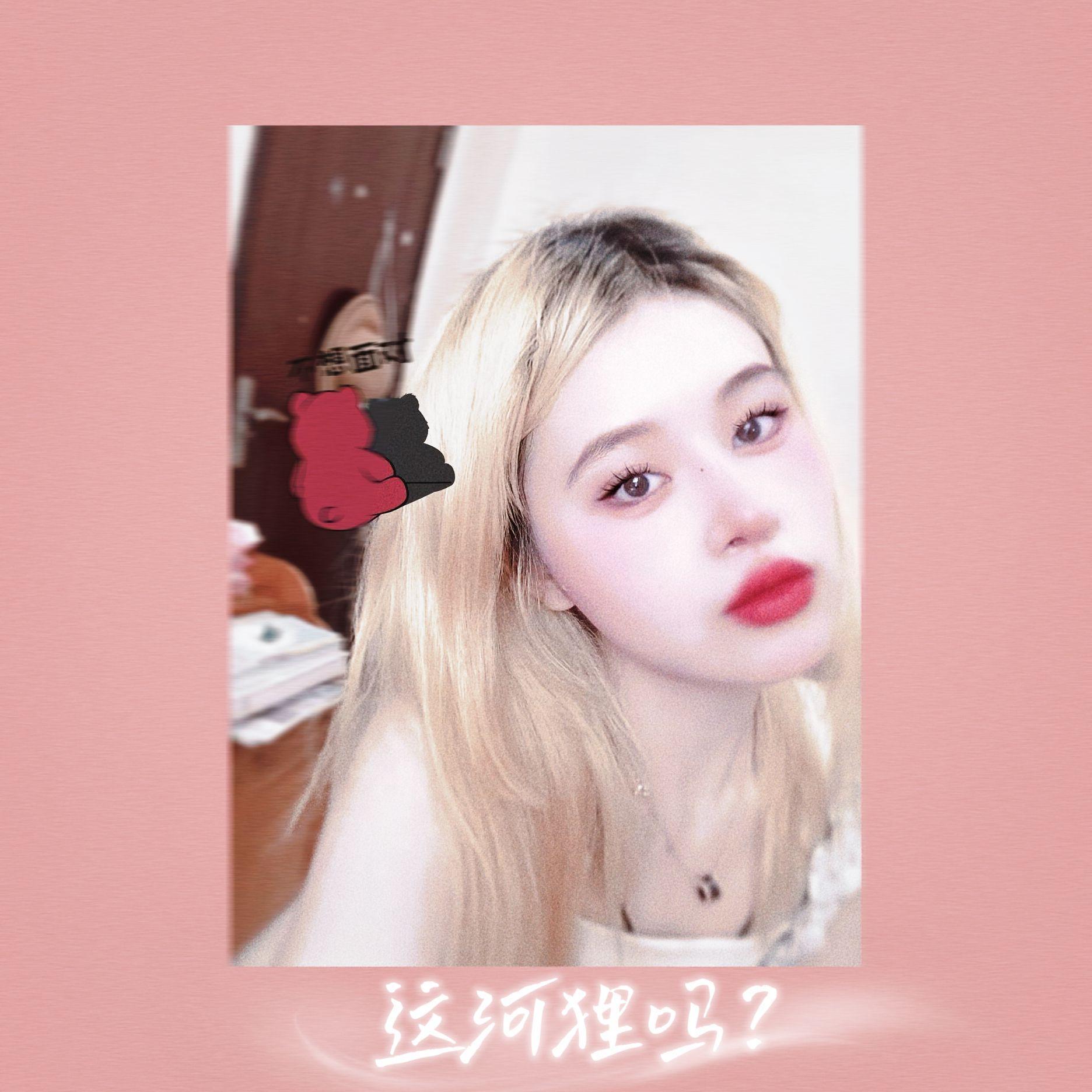 这河狸吗封面