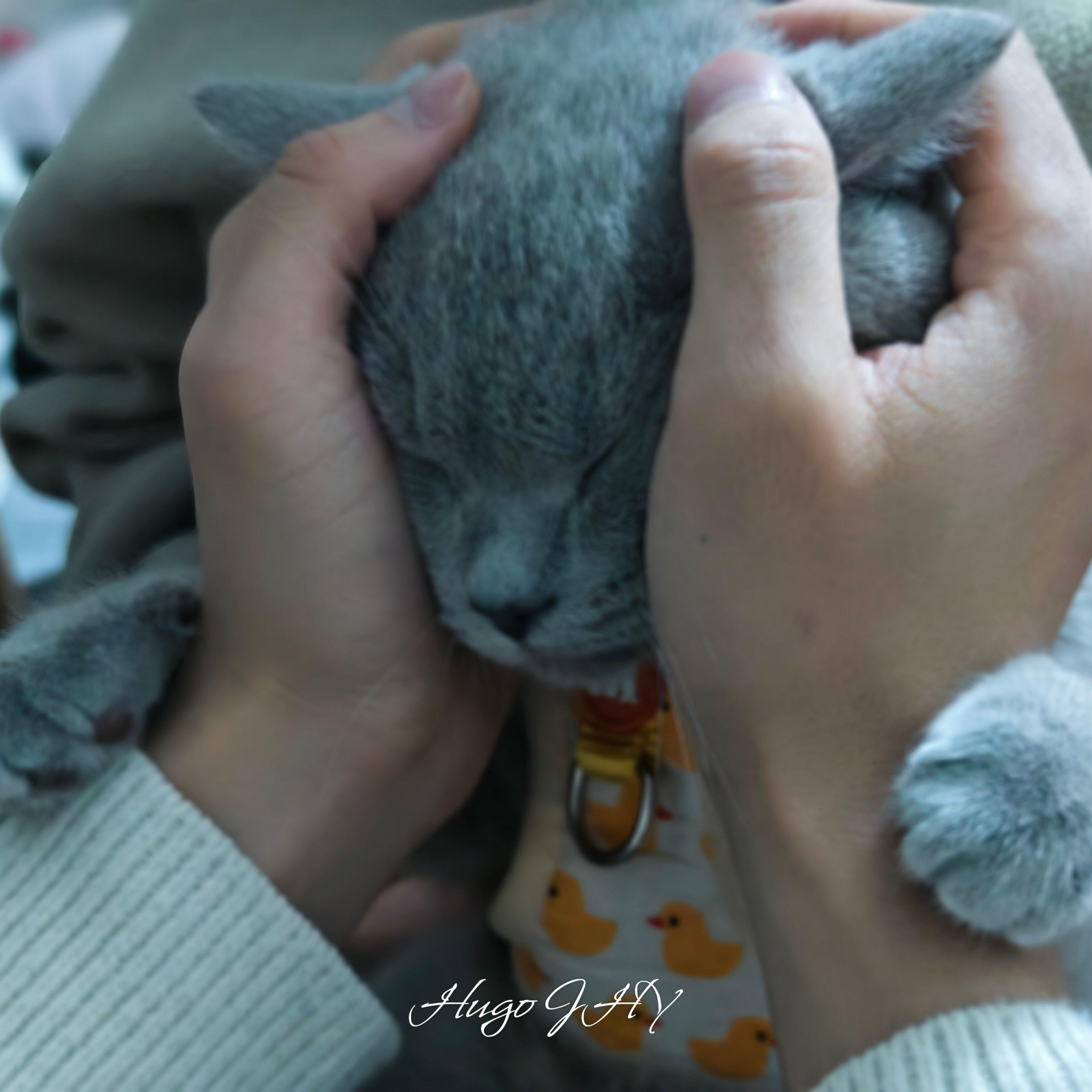 我的两个好朋友变成了一家人