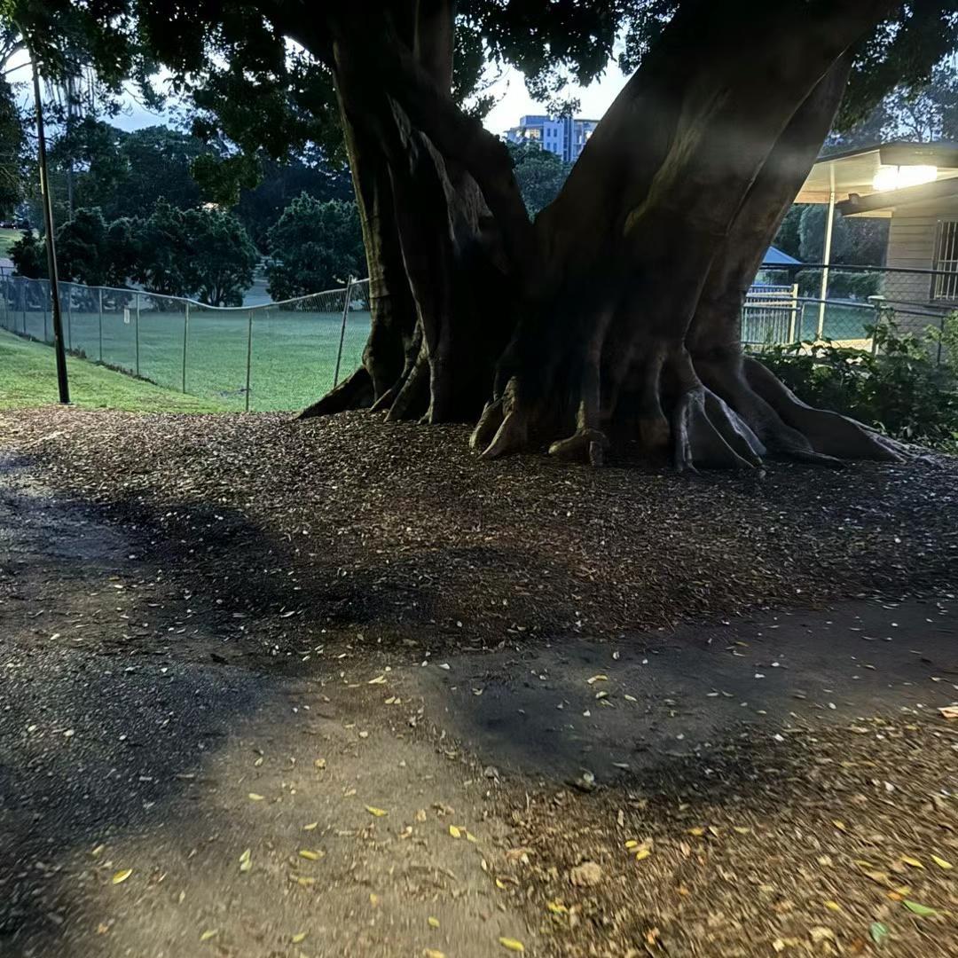 该流的泪一滴都不能少流 (Pord.MULAK)