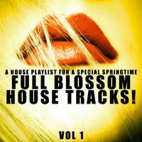 Full Blossom House Tracks! - Vol.1