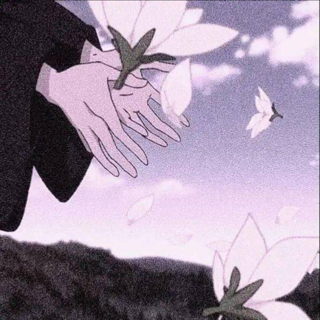 轻轻的一吻封面