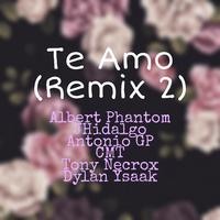 Te Amo (Remix 2)