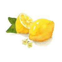 lemon