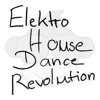 Electro House Dance Revolution