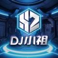 男孩 (DJ小祖|张汉卿 remix) - DJ小祖、张汉卿封面